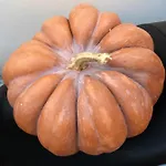 Panzió L'agrumeto 4*