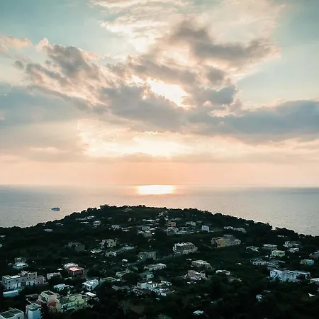 L'agrumeto Couette-café Procida
