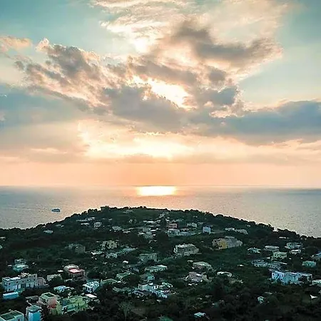 L'agrumeto 4* Procida